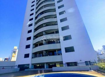0 · apartamento para aluguel em Cambuí
