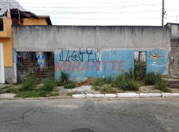 8e991bf95469ea68272be77bfac3ccf3.jpg · Terreno