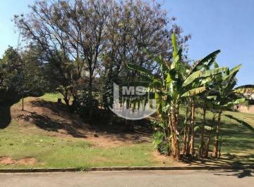 8517c05f74a22c8d0728f58dedc2a6733a86ddc6 · Terreno à venda, 537 m² por R$ 950.490,00 - Bairro Das Palmeiras - Campinas/SP