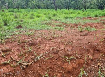 Imagem 1 · Terreno para venda em Centro, Santana de Pirapama