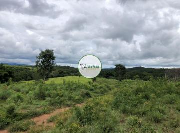Rural , Mimoso de Goiás · Fazenda em Mimoso de Goiás-GO - 125 Hectares - Pastagens formadas em Brachiaria, Agropolo e Massa
