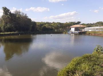 Rural de 5 quartos, Santo Antônio da Alegria · Casa sede ,confinamento ,granja ,planta café ,varias aptidões