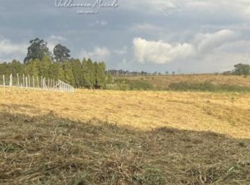 Terreno , Boituva · Terreno 2.396m² á venda Condôminio Vitassay – Boituva SP