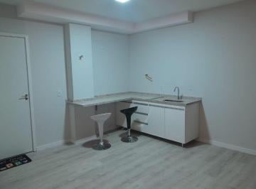 Apartamento de 1 quarto, São Paulo · Studio para aluguel possui 29 metros quadrados com 1 quarto em Vila São Francisco - São Paulo - SP