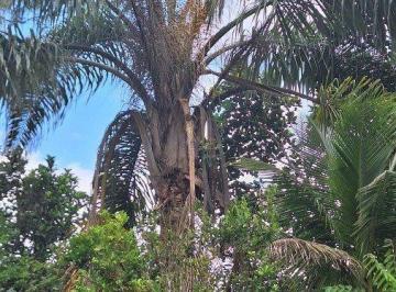 Casa · 3 Quartos · 3 Vagas · Oportunidade na cidade de Itariri, próximo ao mar