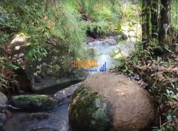iws1og2yti0otjmm2i5mzli_md · Sitio Centro de Taquara em Rancho Queimado - SC com cachoeira araucárias ...