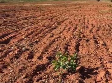 Imagem 1 · Fazenda para venda em Centro, Pompéu