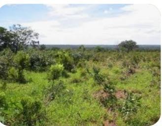 Imagem 1 · Chácara