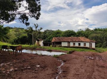 Imagem 1 · Fazenda