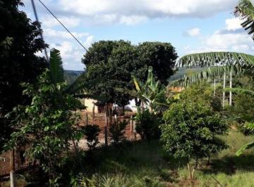 Imagem 1 · Chácara para venda em Sarutaiá