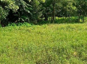 Terreno , Mairinque · Condomínio de chácaras com infraestrutura completa e contato direto com a natureza