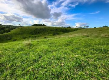 Rural , Conceição do Almeida · Fazenda à venda Conceição do Almeida - Comercio de Jaguaripe