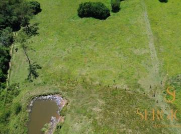 Rural , Montenegro · 3 hectares em Montenegro com 2 açudes e poço a 2,3 km do asfalto