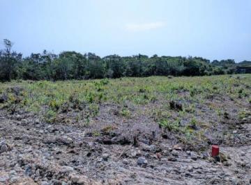 20230724051253417.jpg · Terreno para Venda em Itanhaém, Tupy