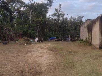 202505261234281120.jpeg · Terreno para Venda em Itanhaém, Coronel