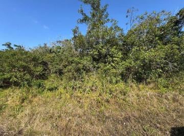 202510091333505559.jpeg · Terreno para Venda em Itanhaém, Jardim Anchieta