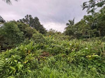 202605301449135178.jpg · Terreno para Venda em Itanhaém, Gaivota