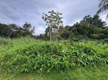 202605301445364701.jpg · Terreno para Venda em Itanhaém, Gaivota