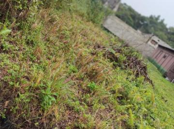202407301351343671.jpeg · Terreno para Venda em Itanhaém, Palmeiras