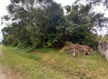 2023100410352126.jpg · Chácara para Venda em Itanhaém, Gaivota
