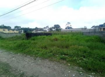 20230921155302217.jpg · Terreno para Venda em Itanhaém, Palmeiras