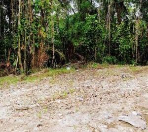 20230708042237188.jpg · Terreno para Venda em Itanhaém, Suarão