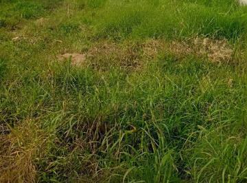 2168_i72v9ig777_21686a26b4104420d.jpg · TERRENO DE 300m² À VENDA NA GUARDA DO CUBATÃO - PALHOÇA/SC