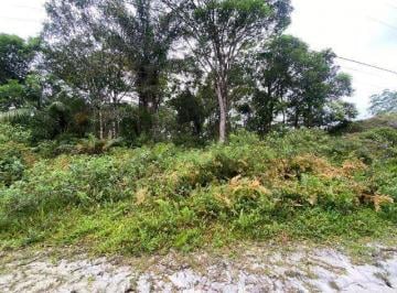 20230707041237705.jpg · Terreno para Venda em Itanhaém, São Fernando