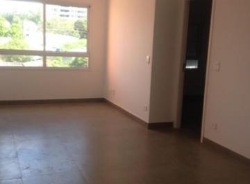18503_ibellhous18503_113853.jpg · Imoveis - em Campestre