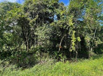 20230715043402910.jpg · Terreno para Venda em Itanhaém, Palmeiras