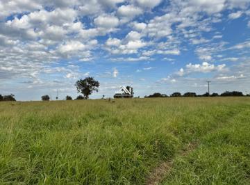 202606091817204039.jpeg · Fazenda para Venda em Campo Grande, Zona Rural de Campo Grande