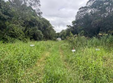 202605301035084700.jpeg · Terreno para Venda em Itanhaém, Palmeiras