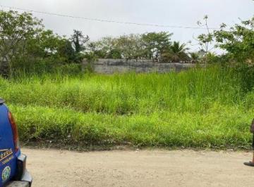 20230726232028814.jpg · Terreno para Venda em Itanhaém, Palmeiras
