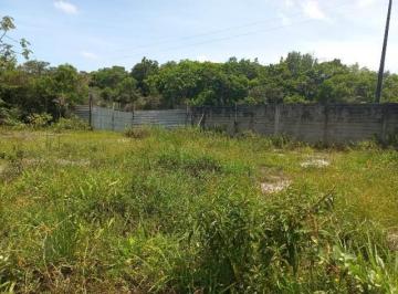20230705070610663.jpg · Terreno para Venda em Itanhaém, Palmeiras