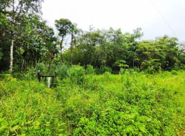 20240103152257227.jpg · Terreno para Venda em Itanhaém, Coronel