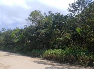 2023112213424483.jpg · Terreno para Venda em Itanhaém, Palmeiras