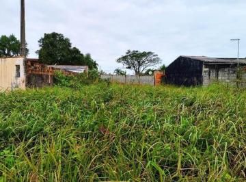 20230906211622884.jpg · Terreno para Venda em Itanhaém, Palmeiras