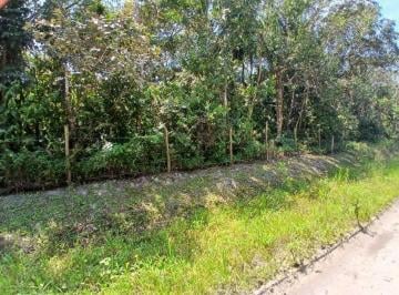 202410171518032960.jpg · Terreno para Venda em Itanhaém, São Fernando