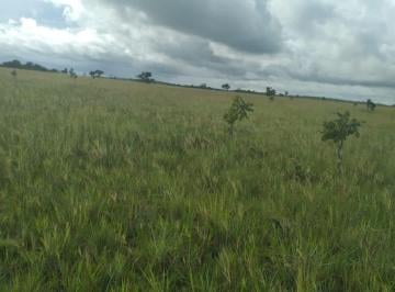 Foto 06 · Fazenda, Macapá, Macapá, AP