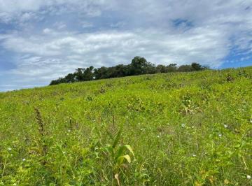 Terreno , Ibiúna · Vendo terreno de 1000m² em Ibiúna – pré-lançamento