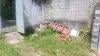 Lote à venda, DOIS IRMÃOS, Recife, PE · Lote à venda, DOIS IRMÃOS, Recife, PE