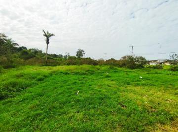 202407051045505429.jpeg · Terreno para Venda em Itanhaém, Gaivota