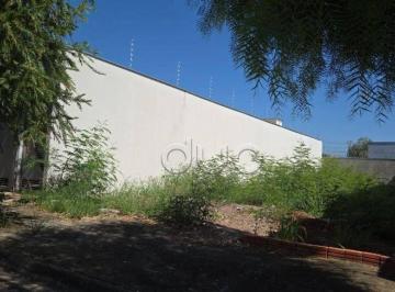 Terreno · 175m² · Terreno para venda em Água Branca de 175.00m²