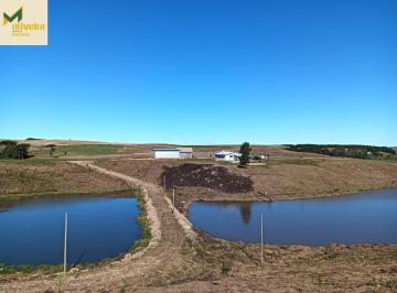 Rural · 10ha · Área com estufa de Morangos!!