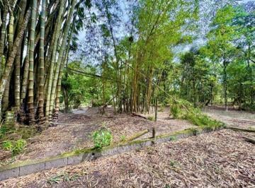 202506191020458760.jpeg · Terreno para Venda em Itanhaém, Parque Real