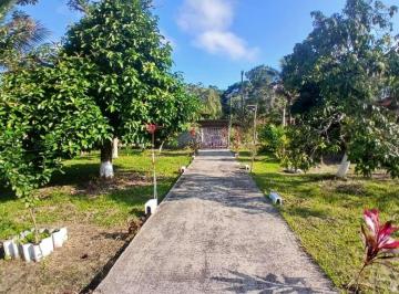 20250717142854641.jpeg · Chácara para Venda em Itanhaém, São Fernando, 3 dormitórios, 2 suítes, 10 vagas