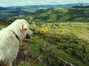 bc8mye2yti3mgrjzgu5mjdi_md · Área rural 9 hectares em Urubici, araucárias, vista das montanhas, terreno alto.
