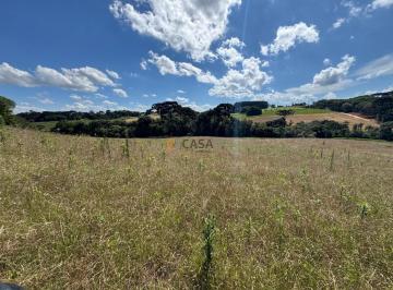 Foto 35 · Terreno Para Formação de Chácara Próximo ao Centro de Araucária
