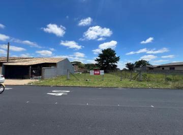 Foto 01 · Terreno à venda em Campo Largo-PR: 507,5m² no Conj. Hab. Joaquim Celestino Ferreira. Ideal para cons