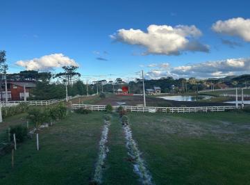Terreno · 7691m² · Terreno à venda - em Painel